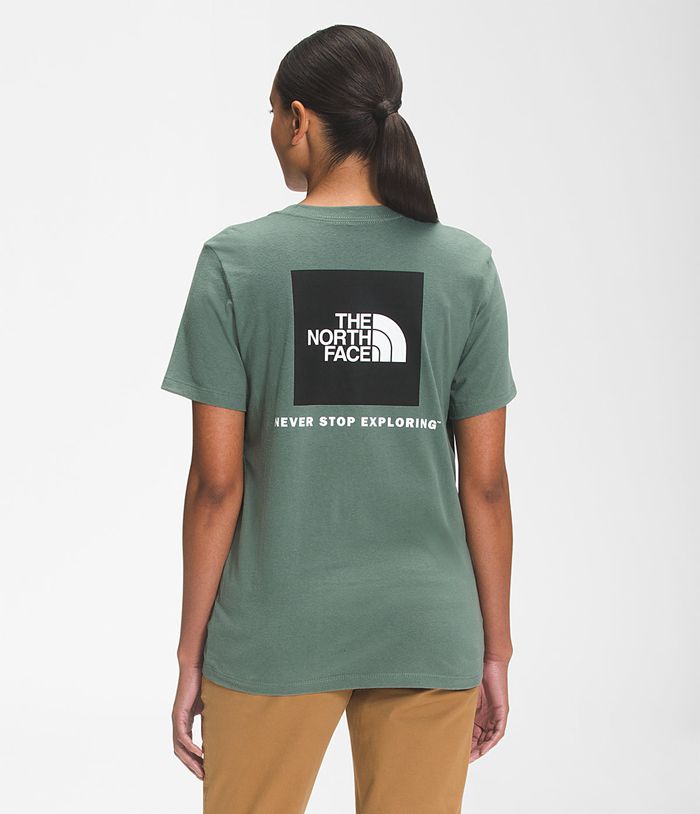 The North Face Short Sleeve Box NSE Womens T-Shirts Green 152983-AYW